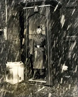 Cameronians: United Kingdom - Ireland