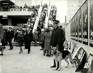 Handler: United Kingdom - Ireland