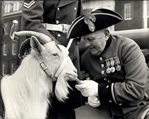 Pensioner: United Kingdom - Ireland