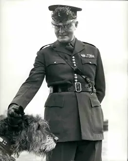 Wolfhound: United Kingdom - Ireland