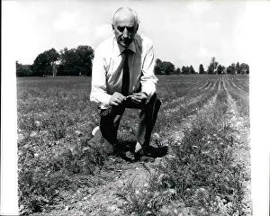 Shortages: United Kingdom - Ireland