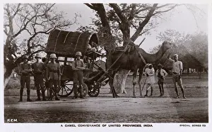 Conveyance: United Provinces, India - Camel Conveyance