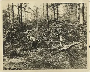 Creeping: United States WWII