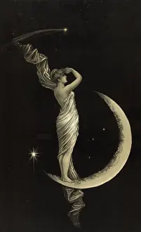 C1889: The universal favorite