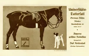 Tattersall: Universitats Tattersall Poster