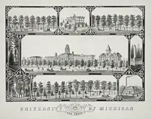 Arbor: University of Michigan, Ann Arbor