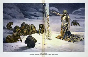 Chimpanzees: The unknown