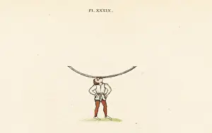 Strutt: Unknown medieval game
