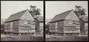 Zehetmayr: Unknown, Sussex