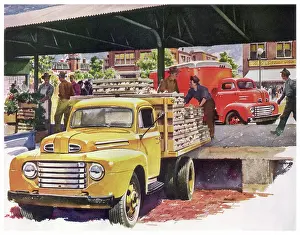 Chickens: Unloading Chickens