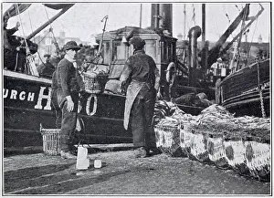 Herrings: Unloading Herring in Great Yarmouth 1910