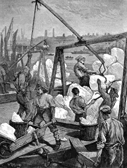 Dockworkers: Unloading Ice at the London Docks 1874