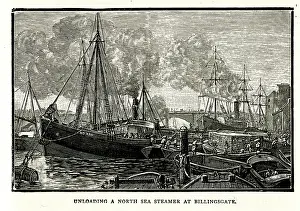 Unloading: Unloading a North Sea Steamer at Billingsgate