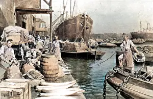 Cargoes: Unloading Ships at London Docks, 1908