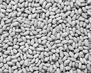 Frt001: Unsalted Peanuts