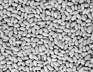 Frt001: Unsalted Peanuts Retro