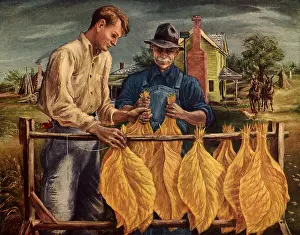 Trot: Unstringing Tobacco