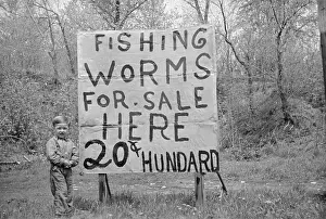 Worms: Untitled