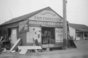 Finkelstein: Untitled
