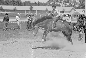 Rodeo: Untitled