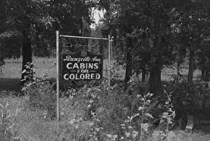 Cabins: Untitled
