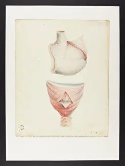 Blank: Untitled
