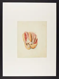 Jenner: Untitled (Mr Jenner)