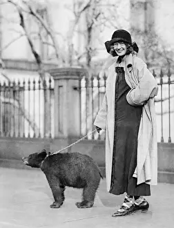 Leashes: A rather unusual pet