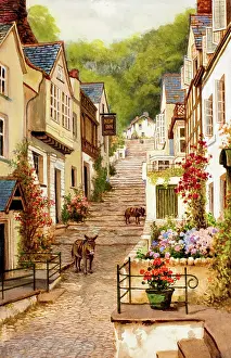 Clovelly: Up-Along, Clovelly, Devon