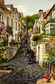 Clovelly: Up-Along, Clovelly, Devon