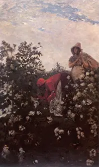 Winslow: Upland Cotton, by Winslow Homer