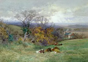 Upland: Upland Pastures ' cows in a field