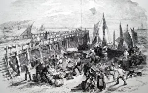 Herring: Uploading herring boats at Yarmouth