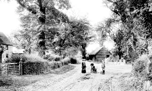 Upminster: Upminster, Bird Lane Corner 1909