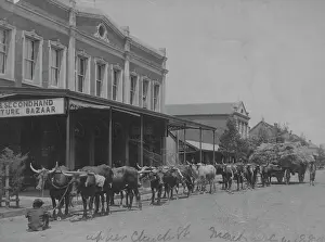 Sharman: Upper Church Street in the 1880s
