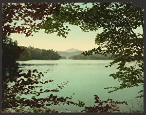 Loon: Upper Loon Lake, Adirondack Mountains