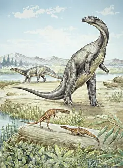 Quadrupedal: Upper Triassic dinosaurs discovered in Southern Germany