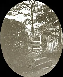 Bridgen: Upton Road