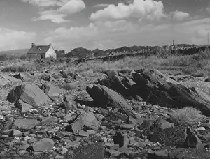 Cardross: UPTURNED CONGLOMERATES