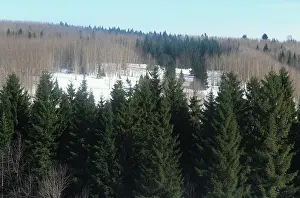 Perm: Ural scenery, 1986