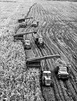 Polyakov: Uritsky Collective Farm