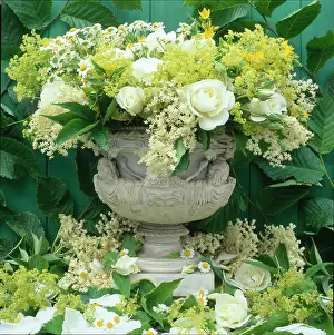 Millar: Urn with White Roses, Elderflowers etc