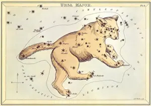 Ursa: Ursa Major, Bear