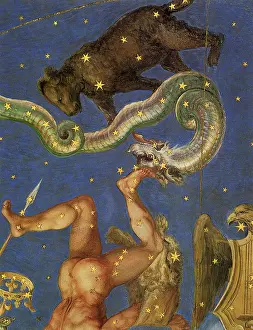 Useful: Ursa Minor