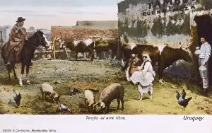 Gaucho: Uruguay - Cattle ranch - Farmyard scene