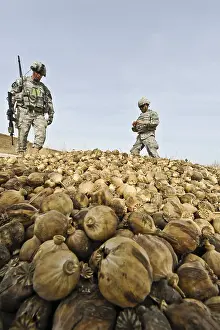 Helmand: U.S. Army Colonel and his Afghan interpreter ?