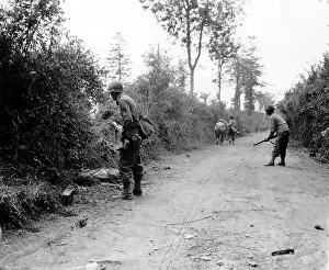 Hedgerows: U.S. infantry fighting in the hedgerows of Normandy
