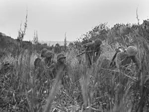 Forager: U.S. Marines patrol on Saipan advances through