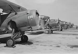 Warplane: U.S. Navy F3F fighter planes lined up and