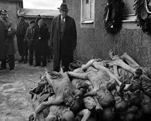 Alben: U.S. Senator Alben Barkley views pile of dead